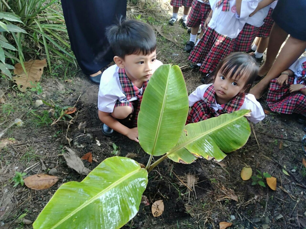 image7
