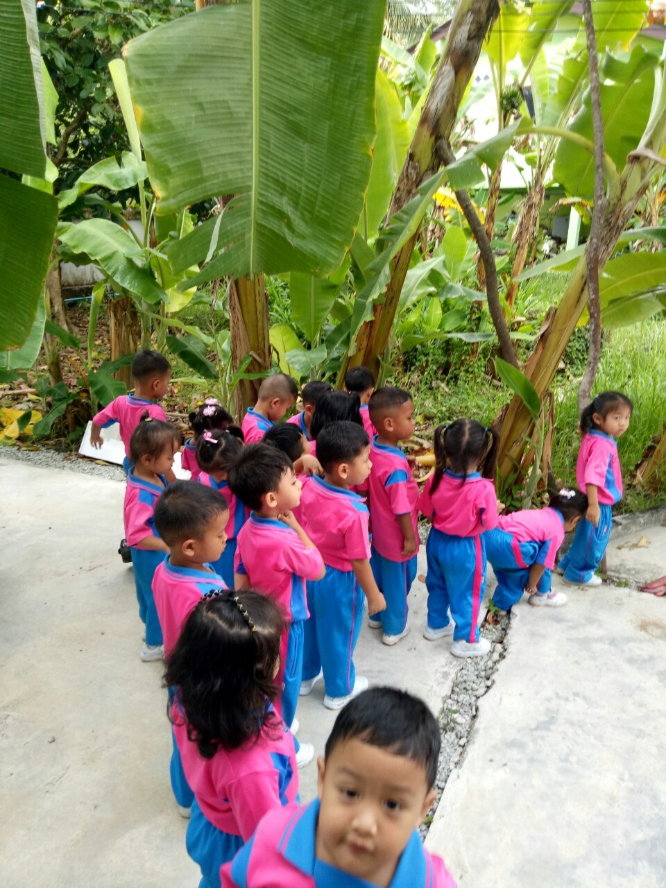 image12