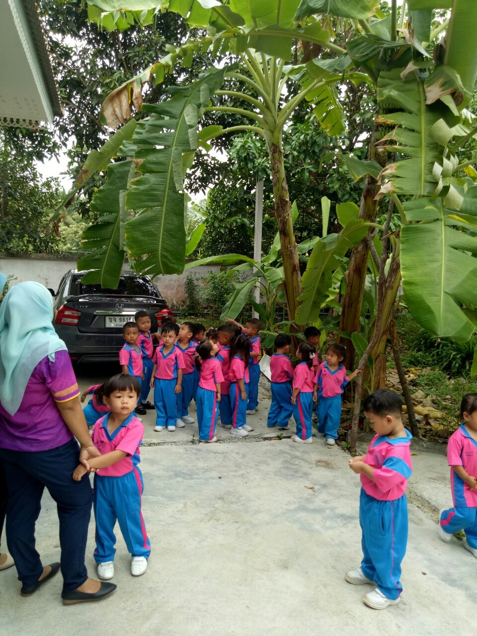 image8