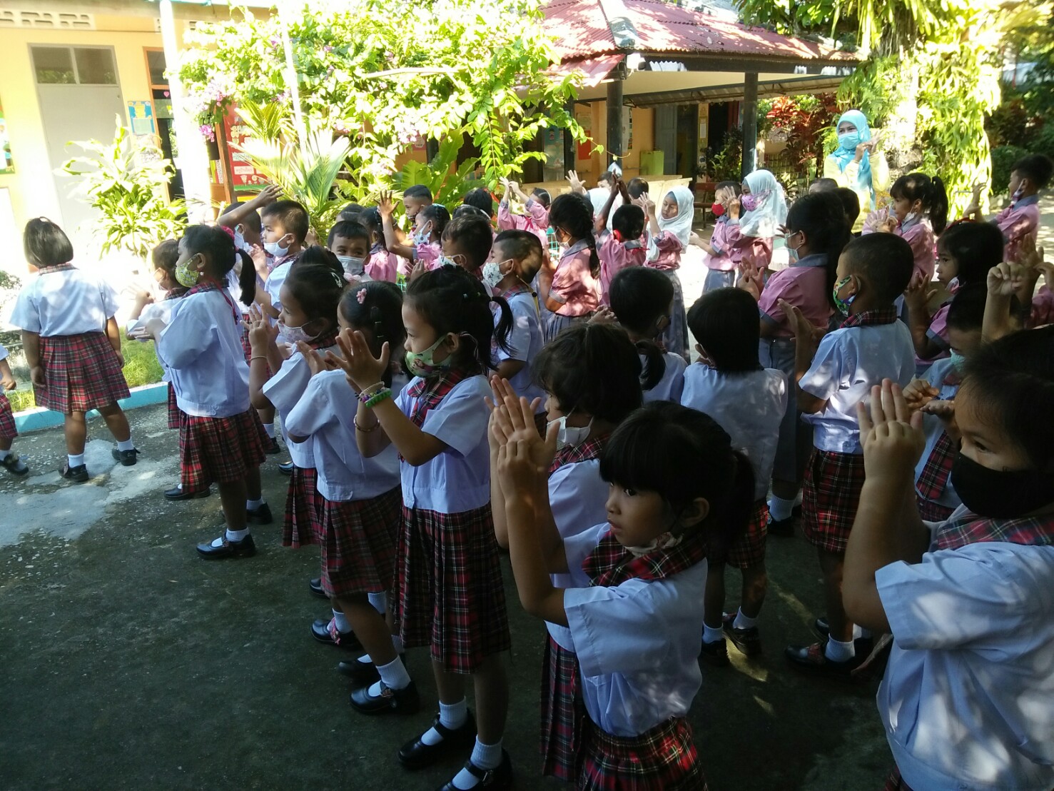 image6