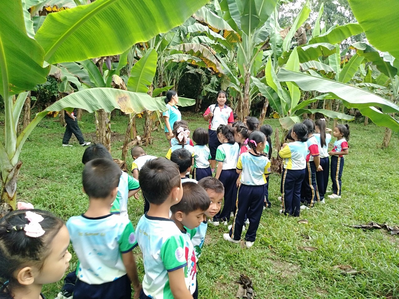 image2