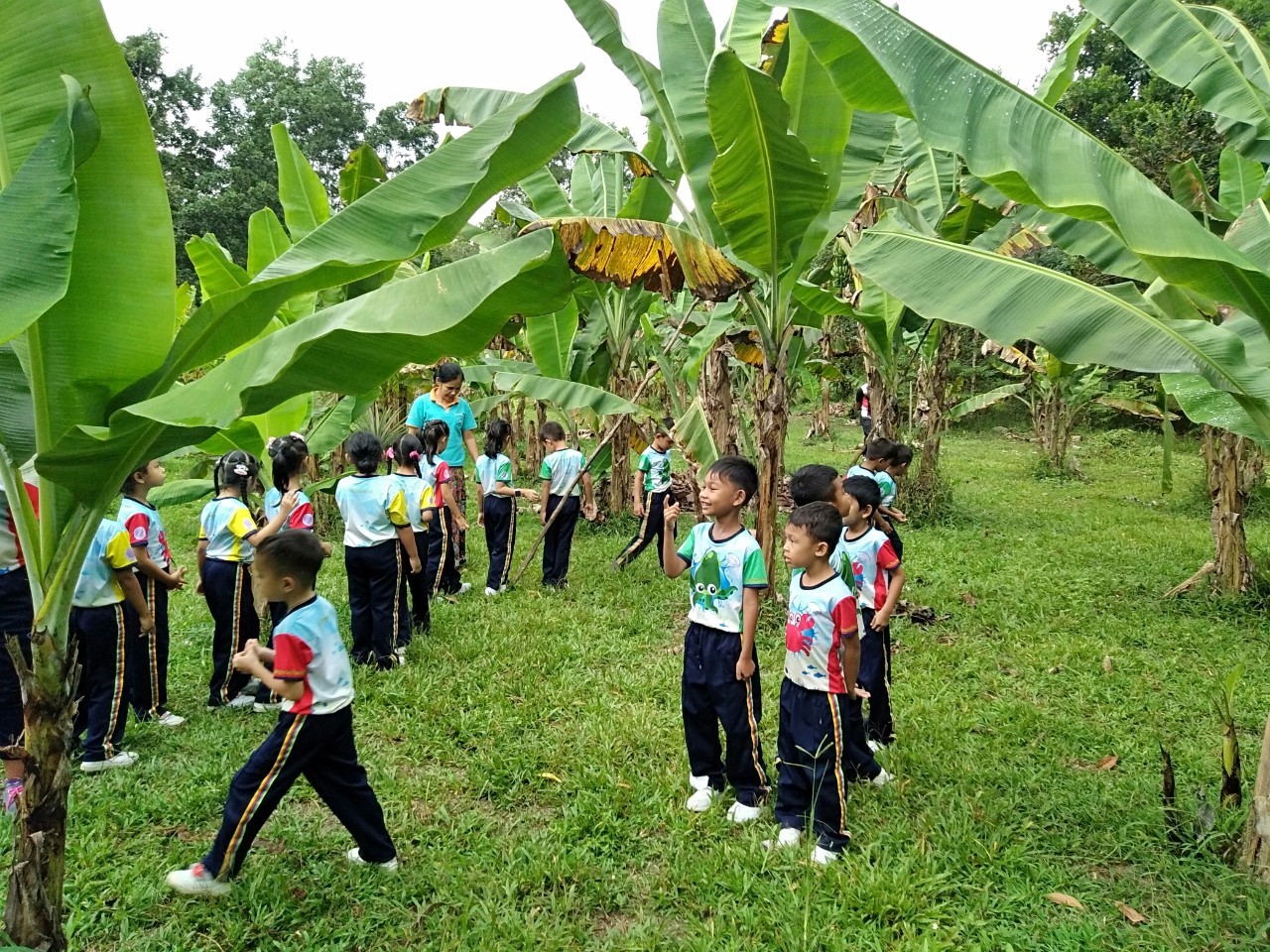 image7